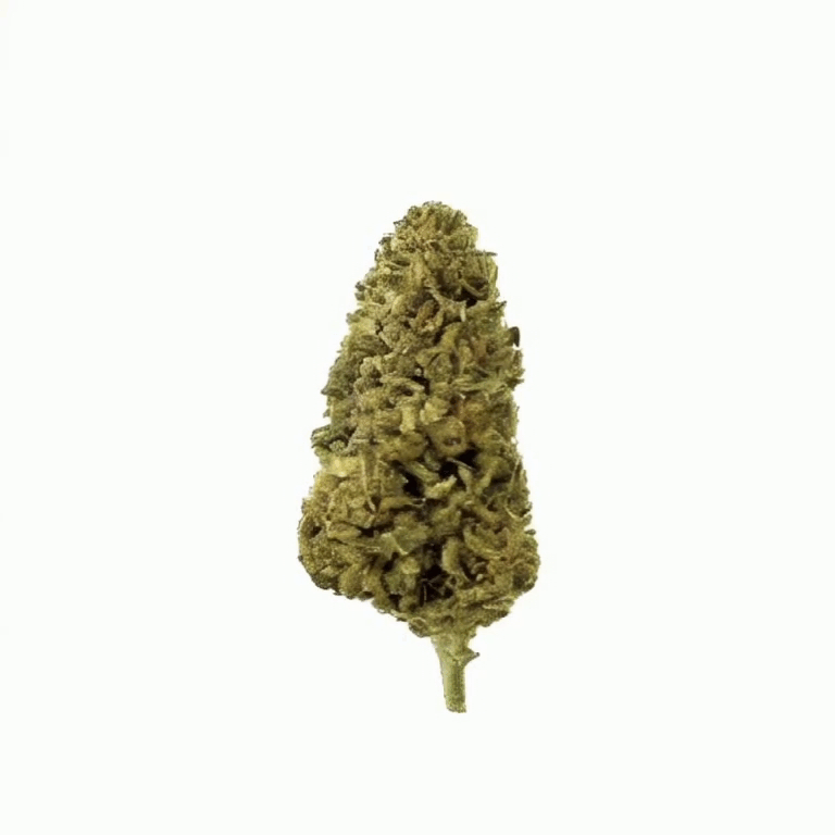 Illuminati Flower - Hybrid - THCA - 2