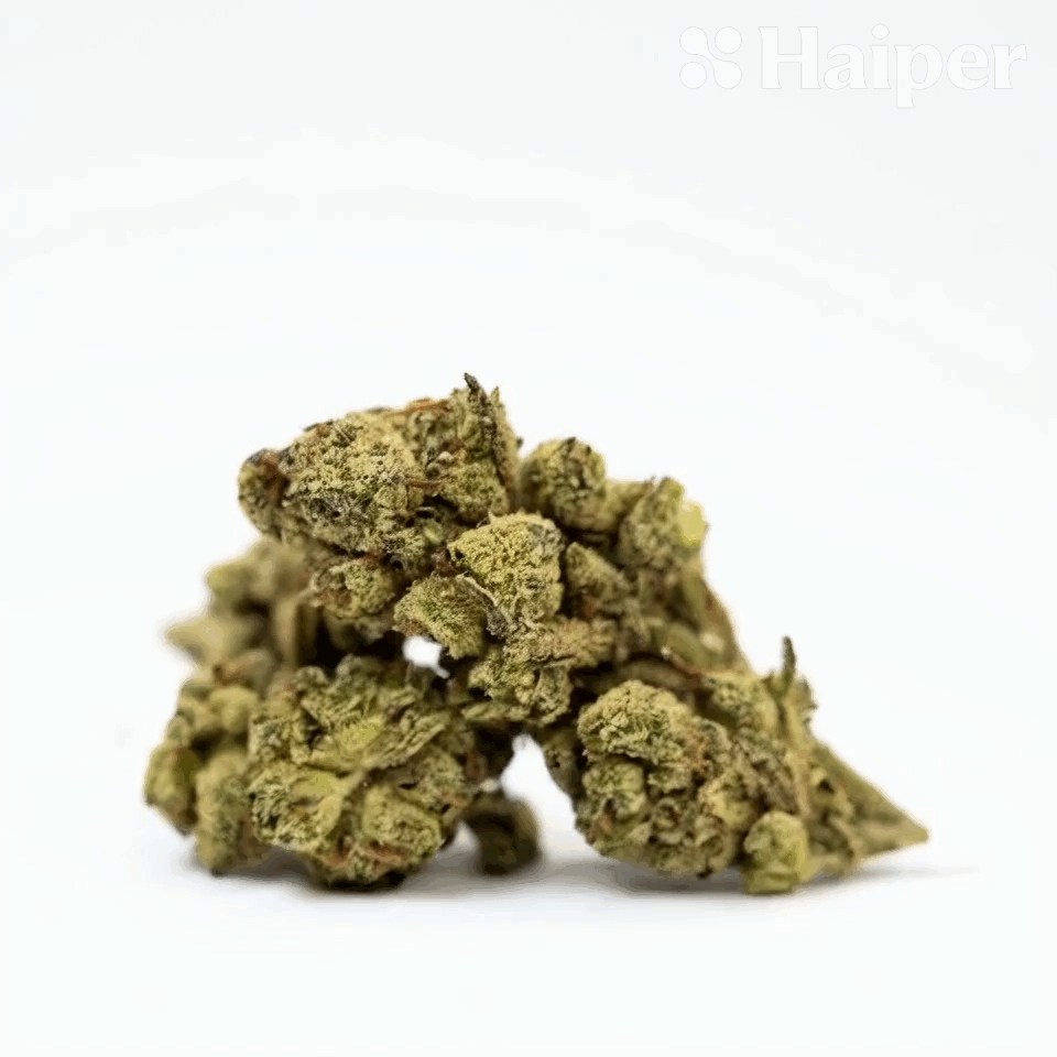 Gelato Haze Flower - Hybrid - THCA - 2