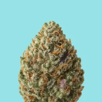THCA Flower