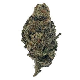 G Flower - Sativa - THCA