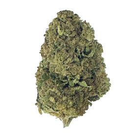 Sherbadough Flower - Hybrid - THCA