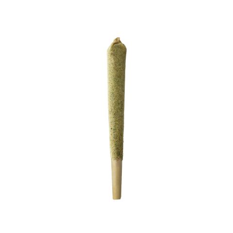1.5g Kief Pre-Roll - Hybrid Blend - THCA - 1 Joint - Thumbnail 1