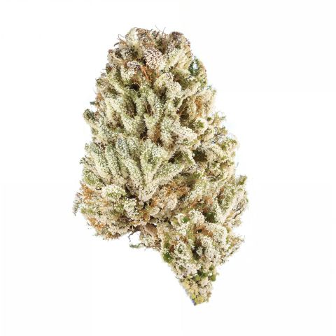 Cat Piss Flower - Sativa - THCA - Thumbnail 1