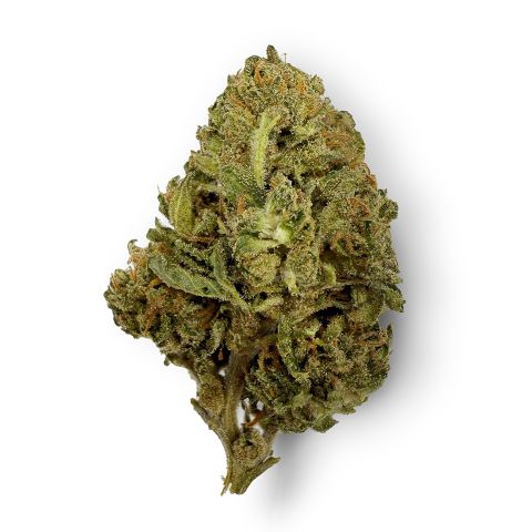 Red Congolese Flower - Sativa - THCA - Thumbnail 1