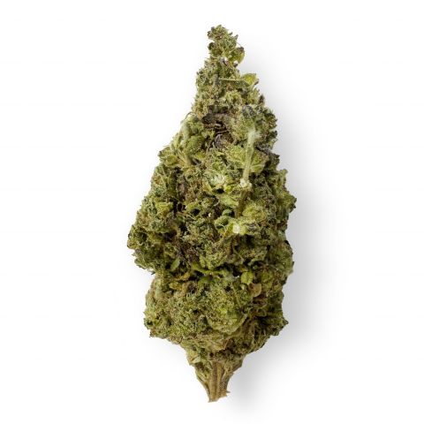 Lemon Bean Flower - Sativa - THCA - Thumbnail 1