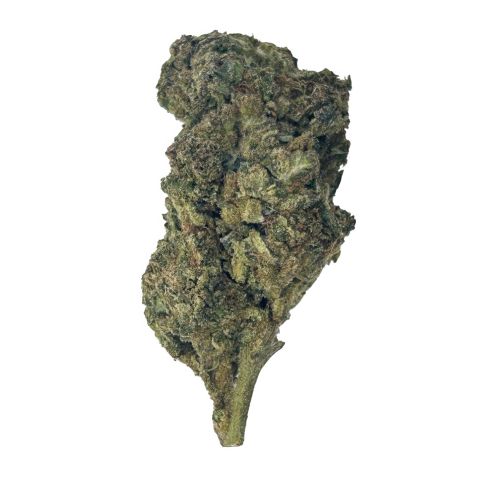 Gusher Cake Flower - Hybrid - THCA - Thumbnail 1