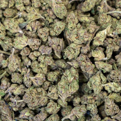 Gelato Haze Flower - Hybrid - THCA - Thumbnail 3