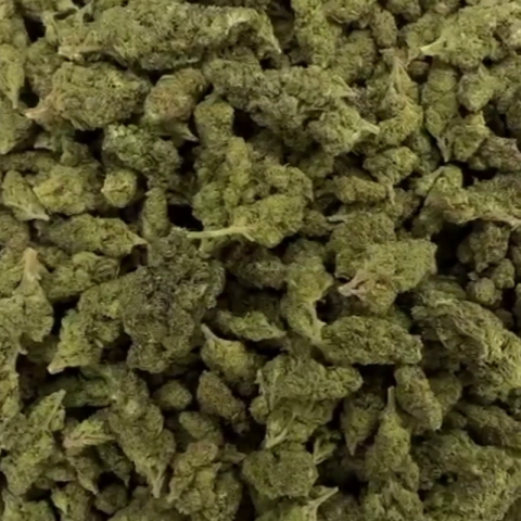 Lemon Bean Flower - Sativa - THCA - Video Thumbnail 1