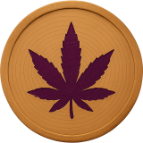Purple Kush Strain