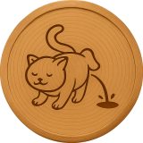 Cat Piss Strain
