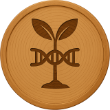 GMO