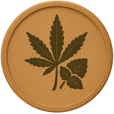 Kush Mintz Strain